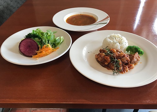 本日のランチ